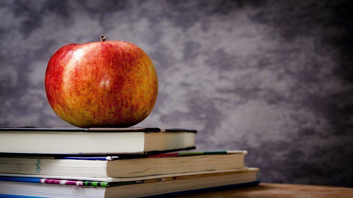 Top 13 Livros para Empreendedores